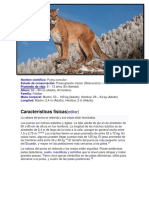 Puma concolor: Datos clave