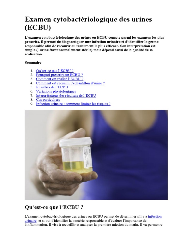 Examen Cytobactériologique Des Urines | PDF | Infection urinaire ...