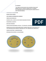 Infeccion Del Tracto Urinarioapuntes