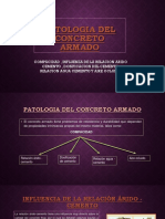 Patologia Del Concreto Armado