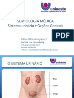 Sistema Urinário e Genital - SEMIOLOGIA