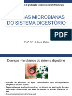 Doenças Microbianas do sistema digestório