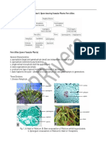 Exercise 6. Spore-Bearing Vascular Plants: Fern Allies: BOT 3 Laboratory Hand-Out