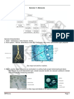 BOT 3 Laboratory Hand-Out: Exercise 11. Monocots