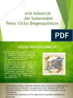 Ciclos Biogeoquímicos - Desarrollo Sustentable