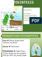 Presentasi Fotosintesis 