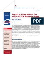 natural gas prices.pdf