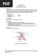 Download LKS SISTEM PERNAPASAN MANUSIA by gitanurul SN42685616 doc pdf
