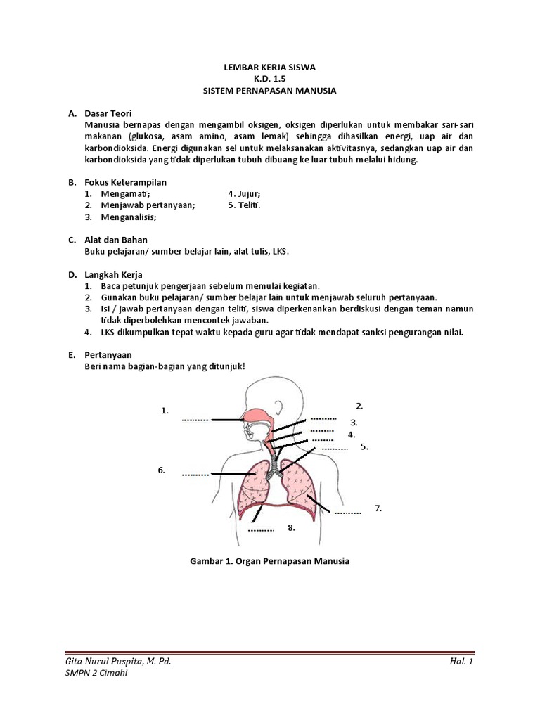 LKS SISTEM PERNAPASAN MANUSIA