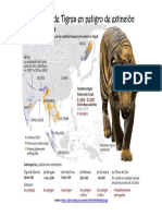 Infografía de Tigres en Peligro de Extinción