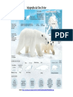 Infografía Del Oso Polar