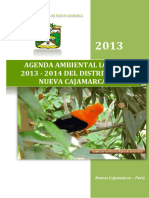 4.AGENDA AMBIENTAL LOCAL_NUEVA CAJAMARCA.pdf