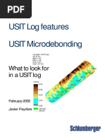 USIT Logging Tool: Cement Evaluation | PDF | Casing (Borehole) | Gases