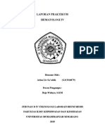 Laporan Praktikum Hematologi 4 (AML, CML, ALL, CLL)