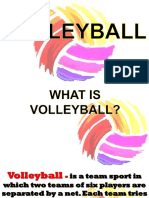 VOLLEYBALL