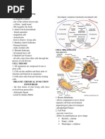 The Cell and Its Beginning