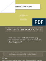 Sistem Saraf Pusat