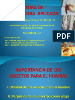 1° Clase Ent. Aplic. - Importancia de Los Insectos