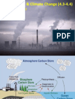 Carbon Cycles & Climate Change (4.3-4.4) : IB Diploma Biology