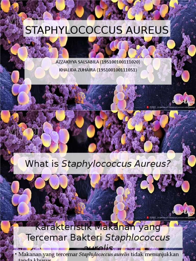 Onam behayo porno tomosha qilish