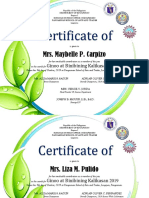 Certificate of Appreciation: Mrs. Maybelle P. Carpizo
