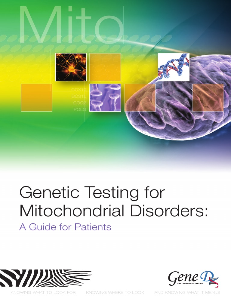 Genetic Testing Gor Mitochondrial Disorders | PDF | Mitochondrion ...