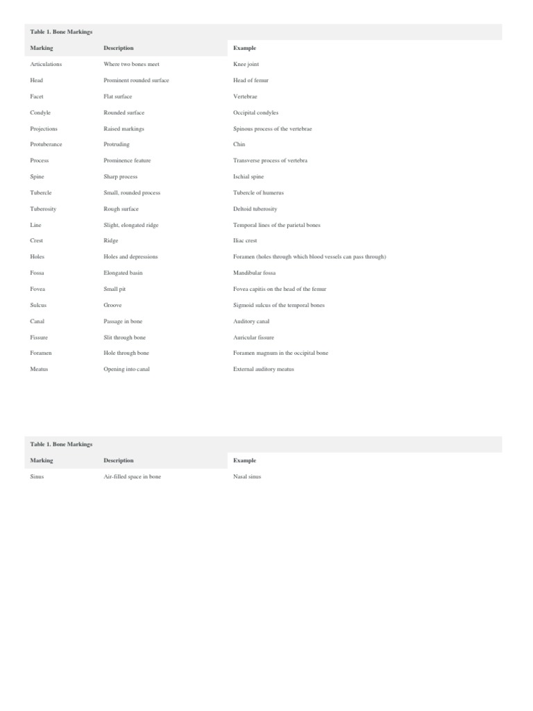Table 1 | PDF | Social Science | Foreign Language Studies