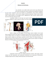 Anatomi Hip Joint