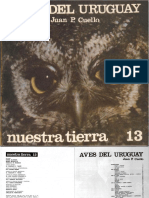 Nuestra Tierra 13 PDF