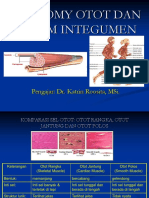 Anatomi Otot Dan Sistem Integumen PDF