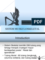 Sistem Muskuloskeletal