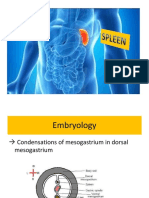 Spleen 2018 PDF