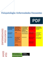 Fisiopatología Pulmon Circulo