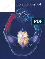 7 Split Brain PDF