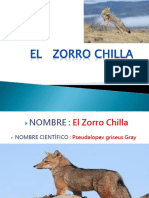El Zorro Chilla