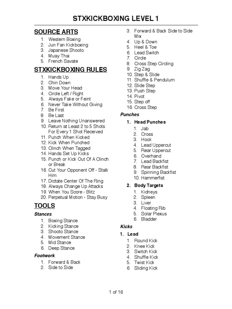 Introduction to Kickboxing A Comprehensive Guide to STX Kickboxing