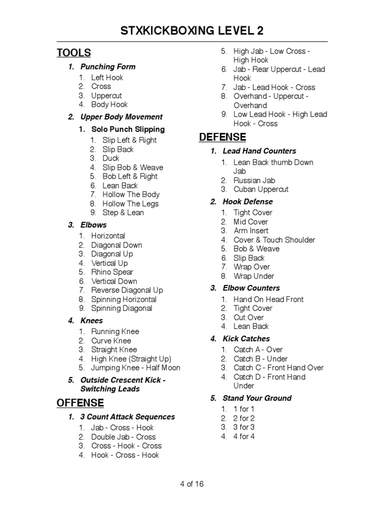 STX Kickboxing Level 2 | PDF | Combat Sports | Sports