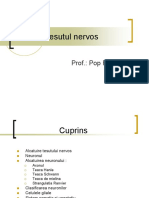 Tesutul Nervos PDF
