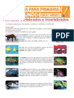 Animales Vertebrados e Invertebrados para Segundo de Primaria PDF