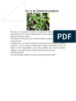 Oracion A La Destrancadera PDF