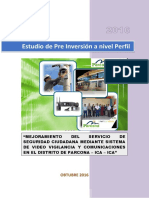 PerfilSeguridadCiudadana PDF