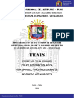 Viza_Copa_Felipe_Benesio (1).pdf