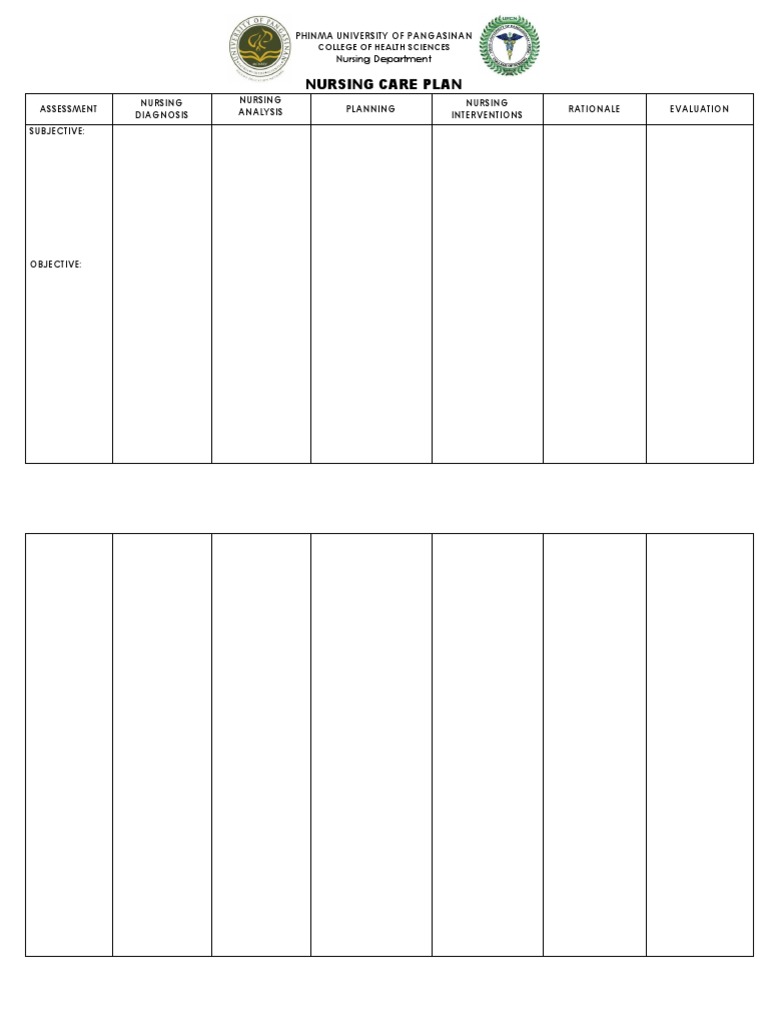 Nursing Care Plan Template | PDF