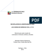 de-salinero_sjurisprudencia.pdf