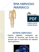 Sistema Nervioso Periferico Final (1)