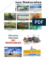 recursos naturales 2019