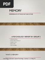 PsychMemoryReport 1