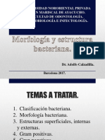 Morfologia y Estructura Bacteriana SIN INFO