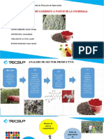 Extracción de Acido Carmínico A Partir de La Cochinilla