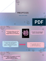 Pyroptosis: Muerte celular inflamatoria mediada por la caspasa 1